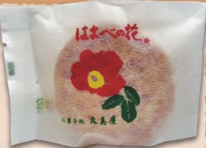 はまべの花の画像